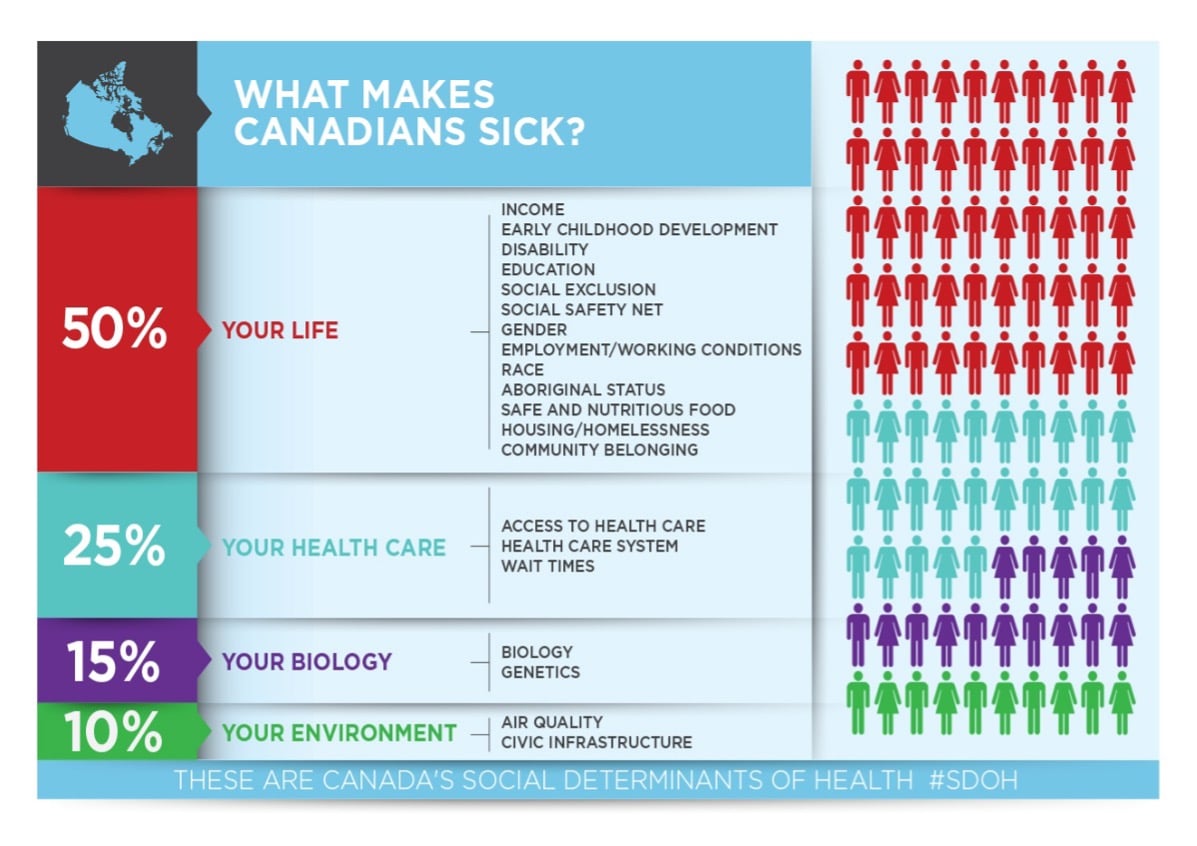 Canada's social determinants of health: an infographic
